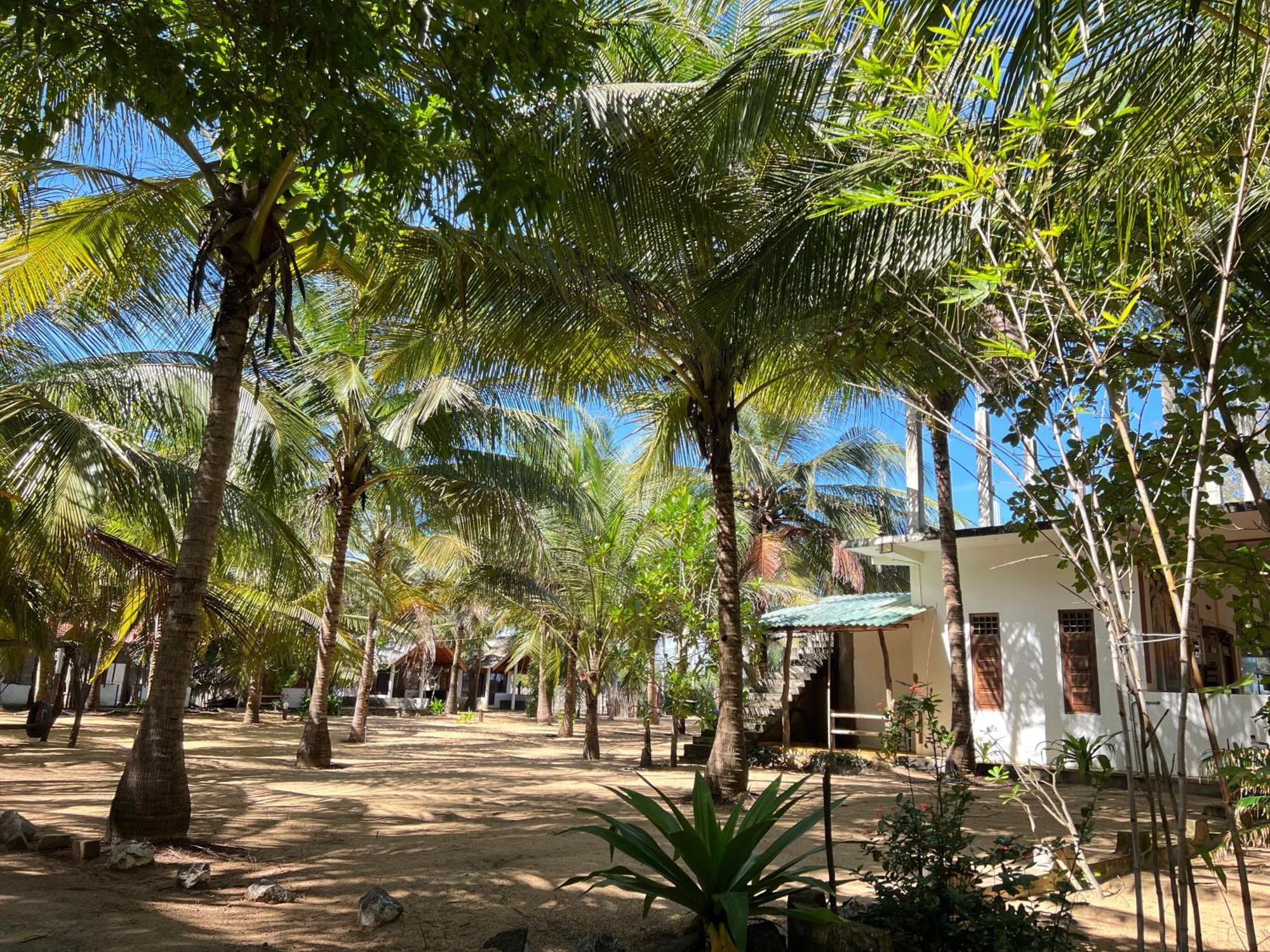 Sand Dune Beach Resort & Surf Camp Arugam Bay Buitenkant foto